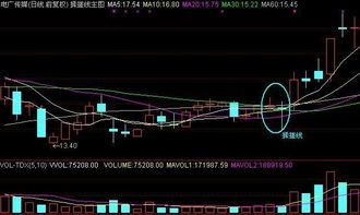 公募基金(公募基金排行榜2021年前十名)