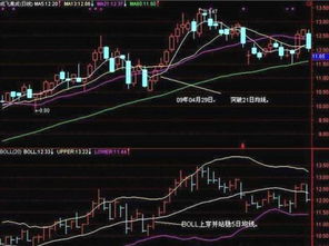 德宏股份(德宏股份分享网白菜的简介)