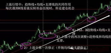 600285股票(600285股票行情实时查询)