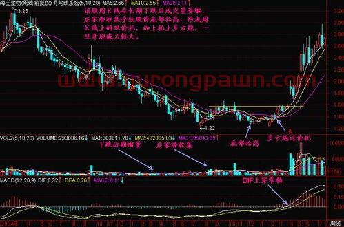 300087股票(荃银高科(300087)股票诊股)