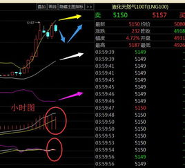 股份有限公司是什么意思(内资股份有限公司是什么意思)